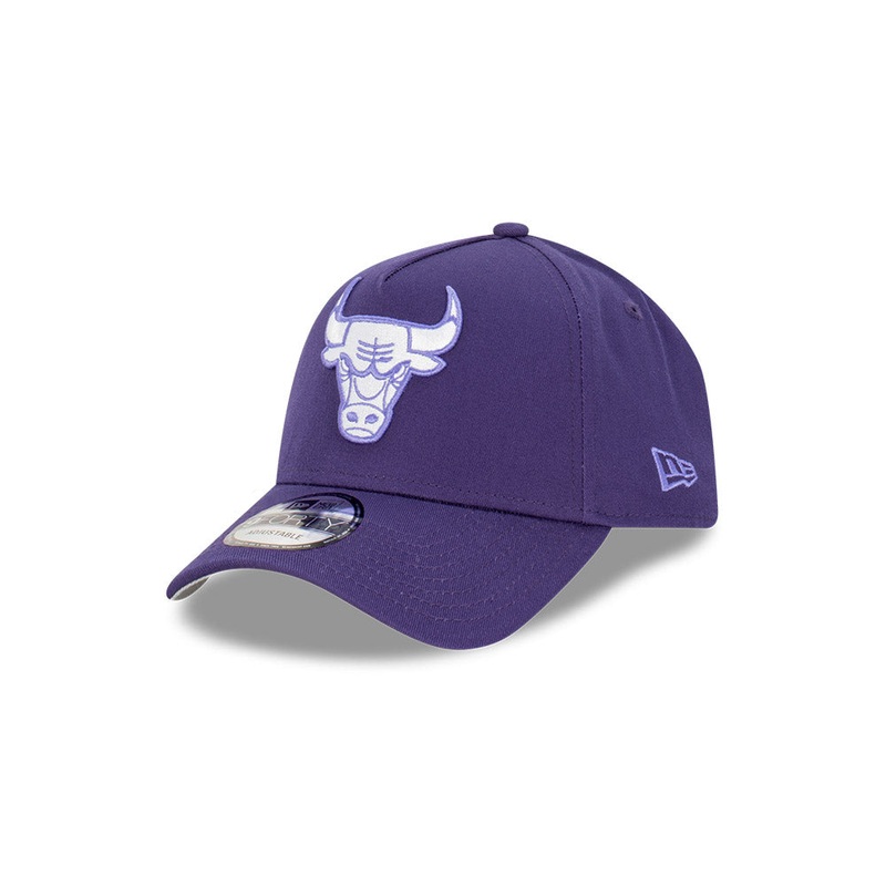 CHICAGO BULLS GRAPE PURPLE MONOTONE 9FORTY AF CAP