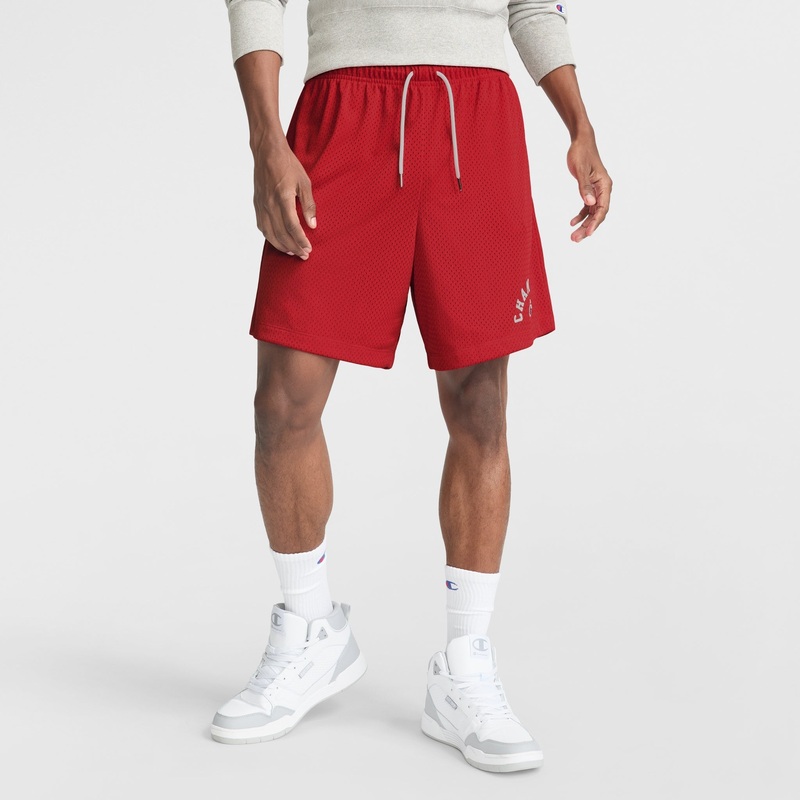 7 Yearbook Mesh Short, Arch Logo
