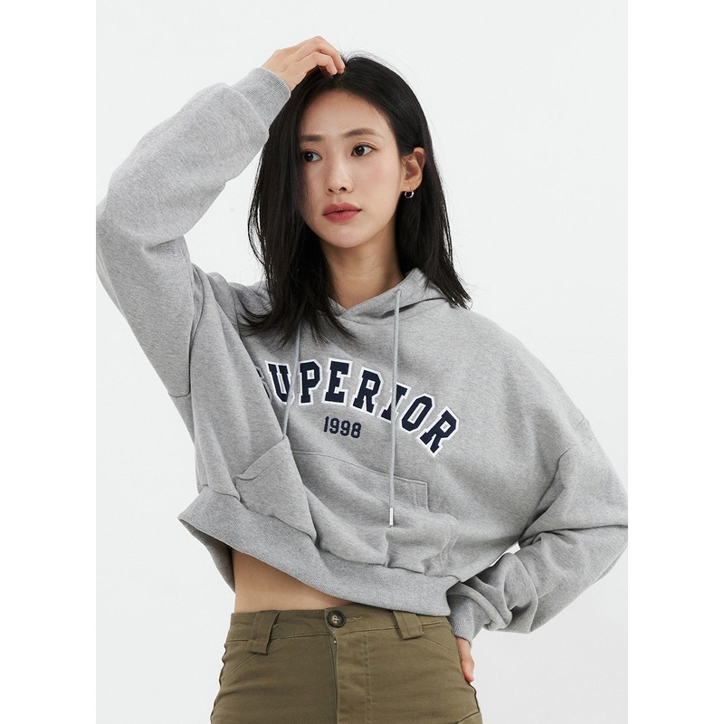 Varsity Cropped Hooded Sweatshirt OS326