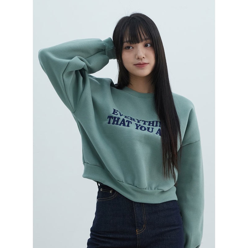Lettering Crop Sweatshirt ON310