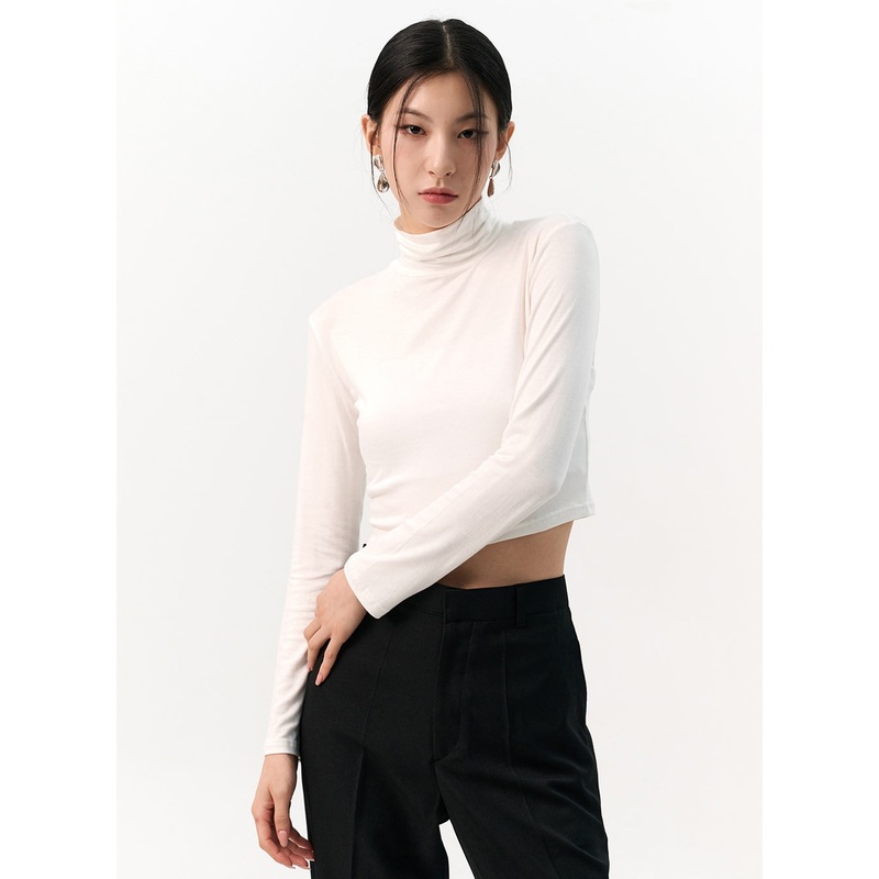 Solid Long Sleeve Turtleneck Crop IO320