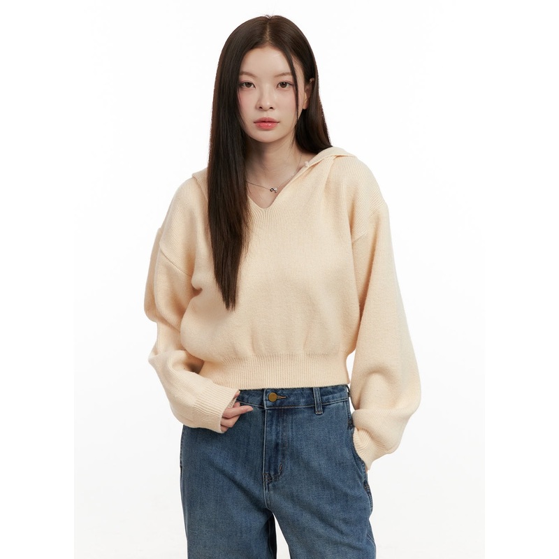 Cozy Hooded Knit Sweater ON422