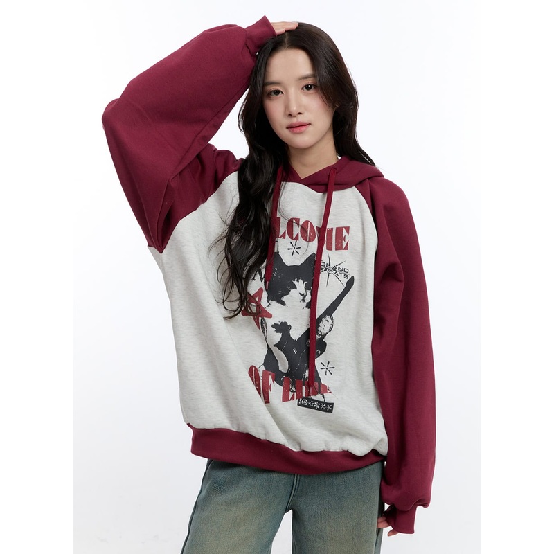 Graphic Hooded Sweatshirt ON418