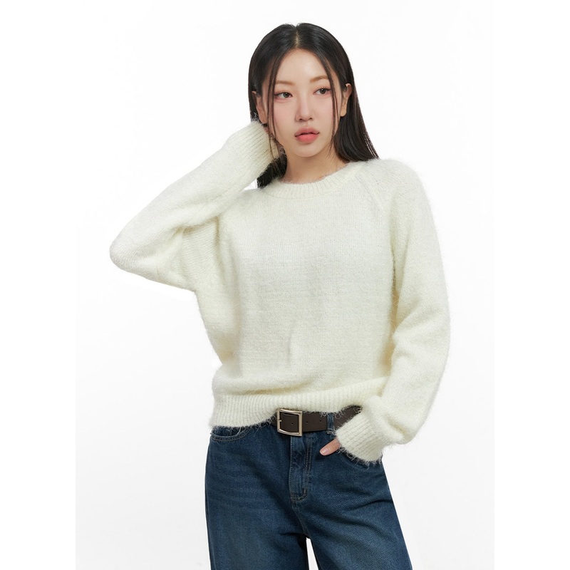Solid Round Neck Knit Top IN415