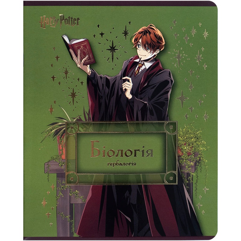 Kite Harry Potter HP25-240-7, 48 , ,