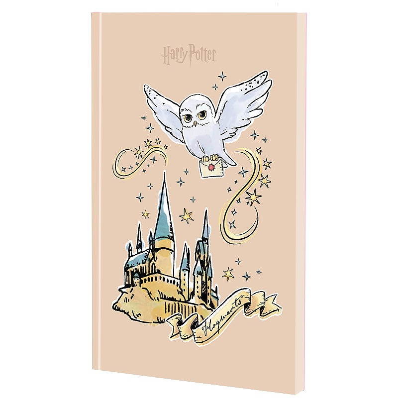 Notebook Kite Harry Potter HP25-193, thermobinder, 5, 64 sheets, blank