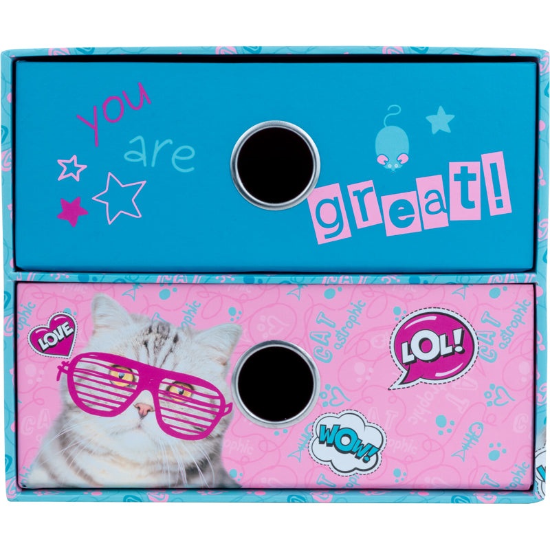 Desk organizer Drawer, Kite Rachael Hale R22-410, cardboard