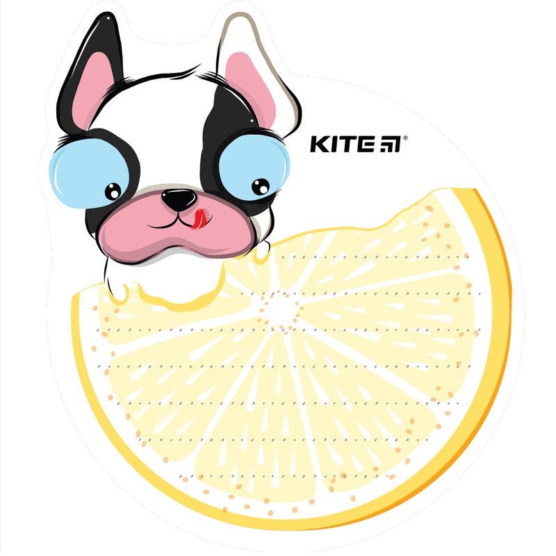 Wall-mounted notes board Kite Orange K22-474-3, 20X20 cm