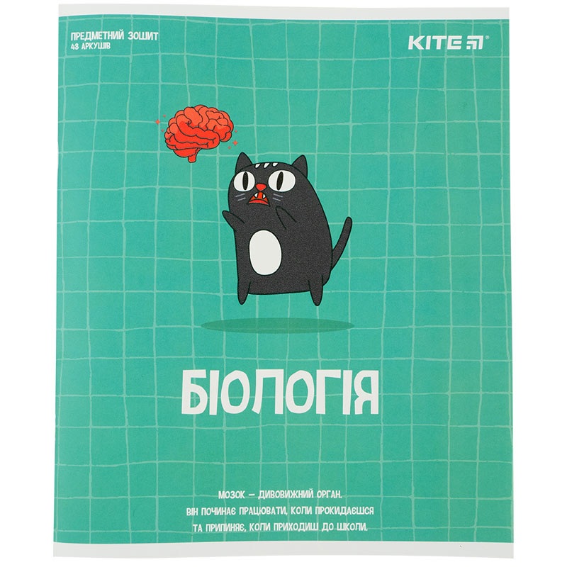 Kite Cat K23-240-17, 48 , ,