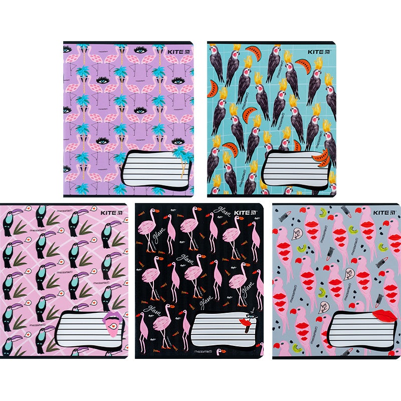 Kite BBH K24-236-1, 18 ,