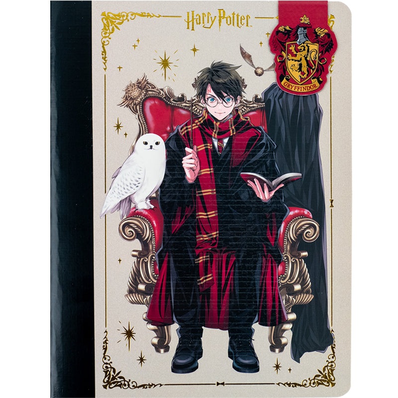 Kite Harry Potter HP24-192, 5, 60 ,