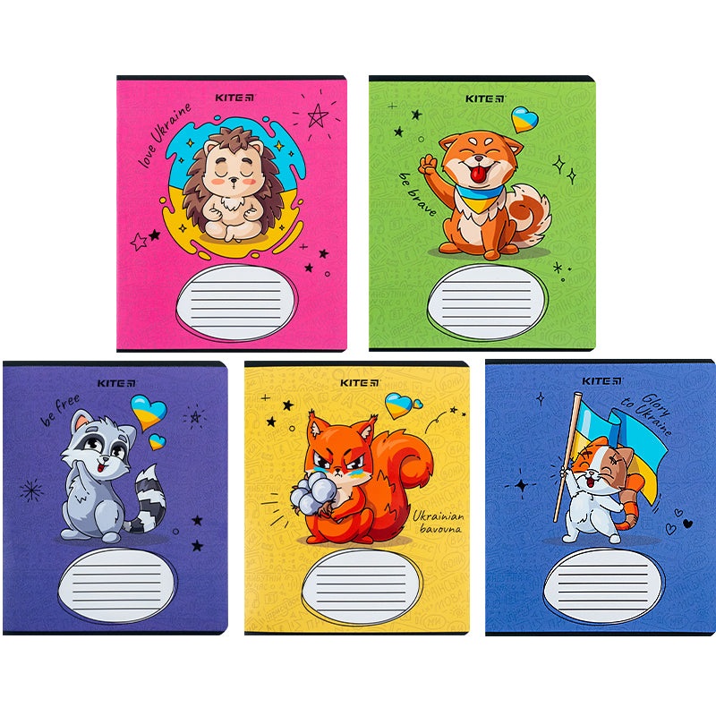 Kite   K24-234-2, 12 ,