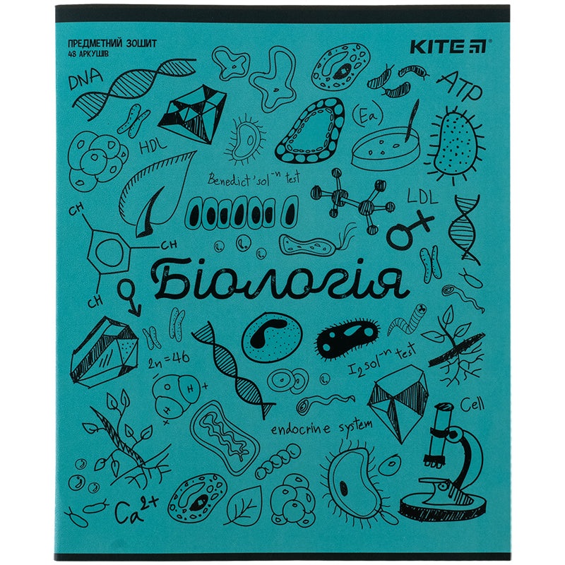 Kite Sketch K24-240-17, 48 , ,