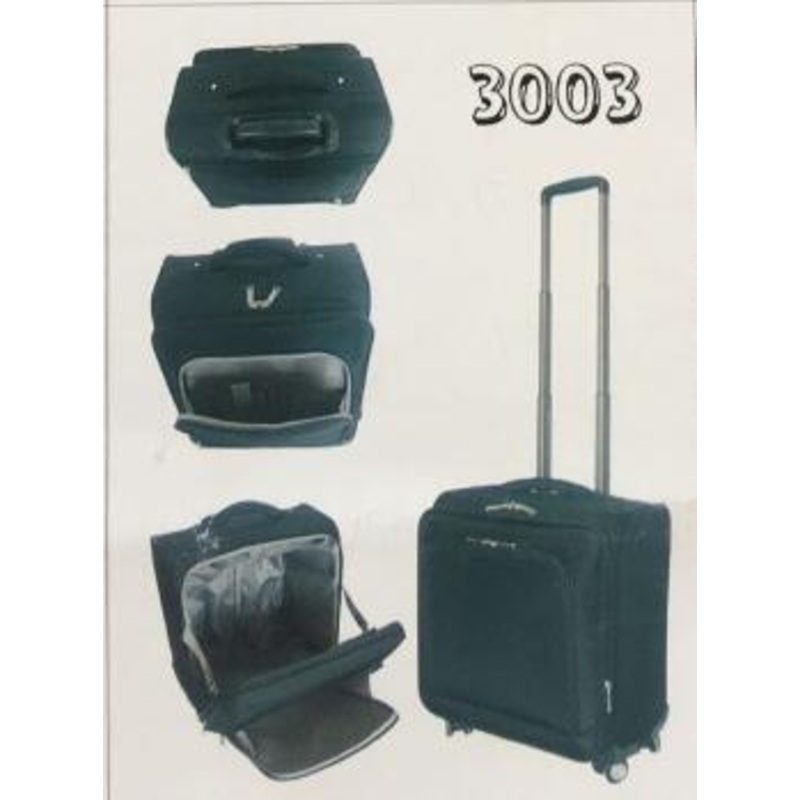 Business Luggage Bags – Luggage Bags and Trolley Bags price