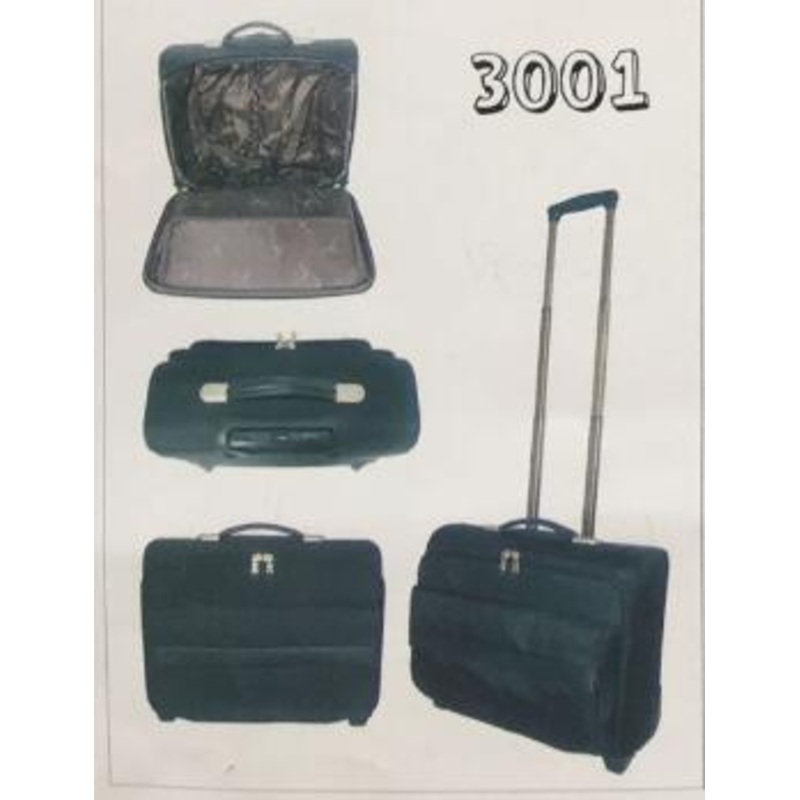 Business Trolley Bags – Luggage Bags and Trolley Bags price