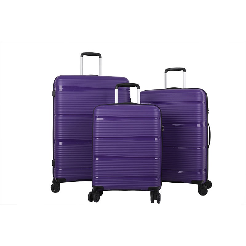 Jiaxing Tianhao Hot Selling Waterproof and Durable Luggage for Travel Trolley – PP Luggage and Travel Luggage price