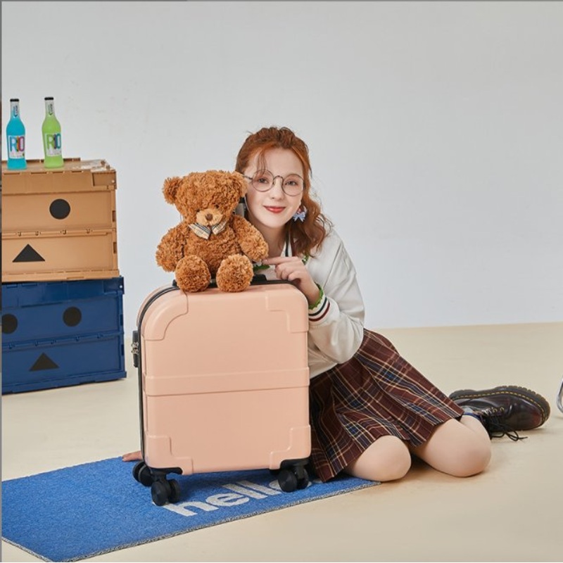 Good Quality Luggage Portable Case 18-Inch Cabin Suitcase – Good Quality Luggage and Portable Case price