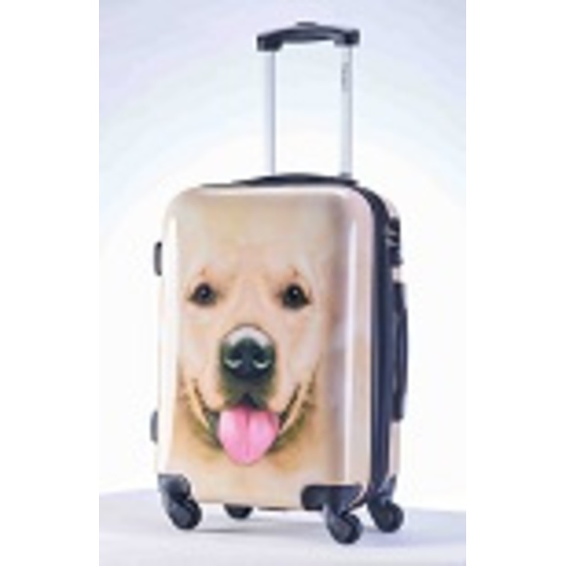 ABS Travel Luggage Set 3 PCS – Trolley Case with Tsa Lock and Travel Luggage price