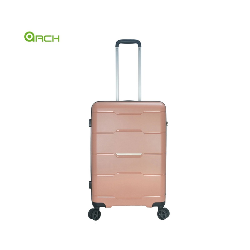 Supplier PP Trolley Travel Luggage with Detachable Spinner Wheels – Luggage and Trolley Luggage price