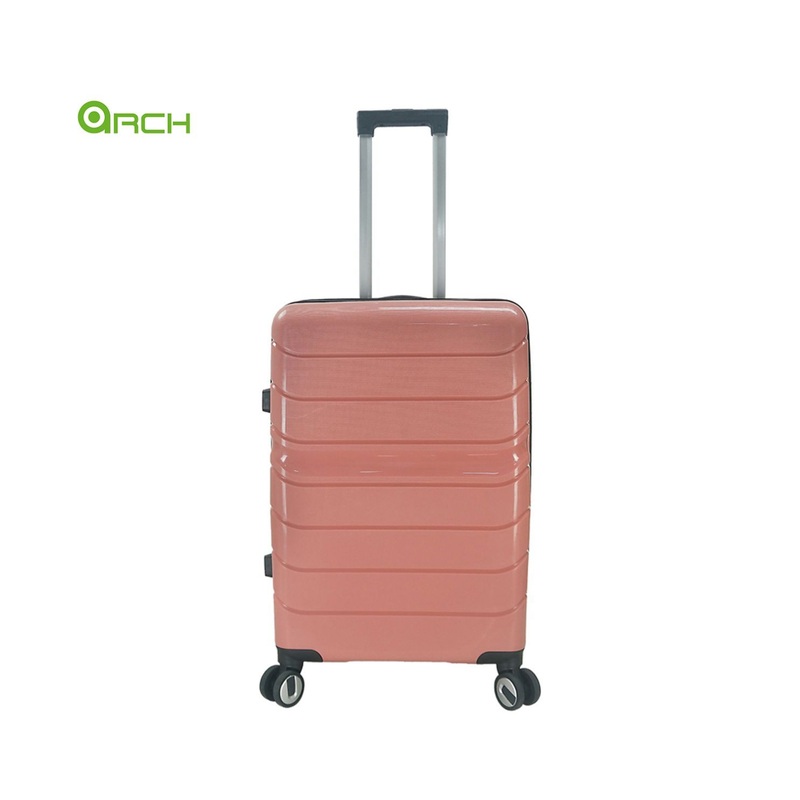 PP Hard Trolley Travel Case with Dual Spinner Wheels and Combination Lock – Luggage Bag and Trolley Luggage price