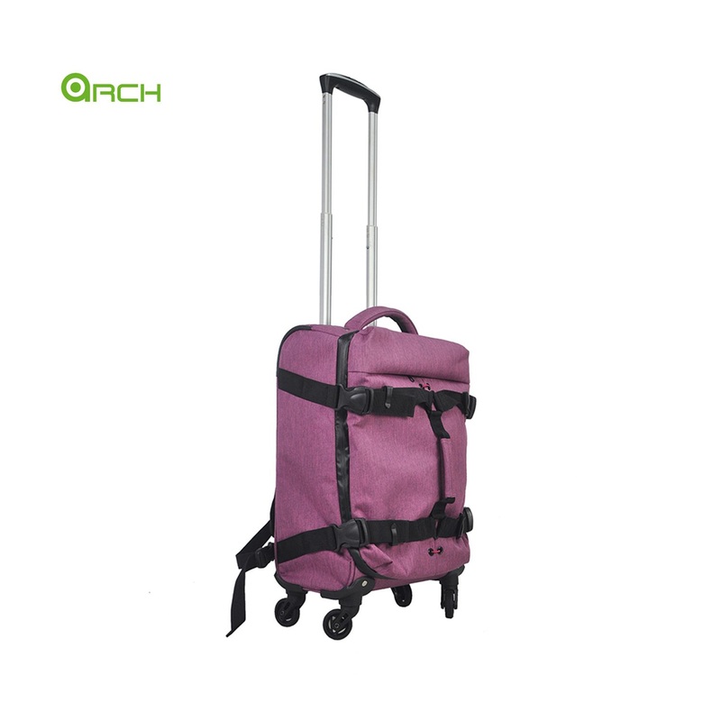 Snowflake Trolley Luggage Carry-on in Spinner Wheels Travel Suitcase Fg2045co – Luggage Bag and Trolley Bag price