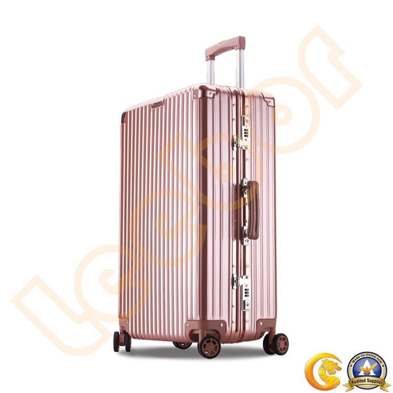 Fashion Carry-on Luggage/Suitcase for Business Shopping School Fly Travel – Travel Luggage and Carry-on Luggage price
